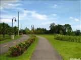 Paseo Lineal del Río Bayamón - BAYAMÓN